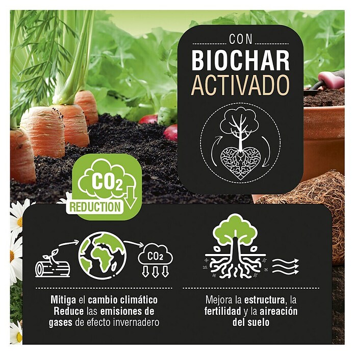 Flower Abono para huertos y jardín Biochar (800 g) | BAUHAUS