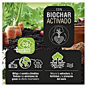Flower Abono para huertos y jardín Biochar (800 g) | BAUHAUS