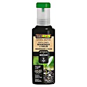 Flower Fertilizante líquido Biochar (500 ml) | BAUHAUS