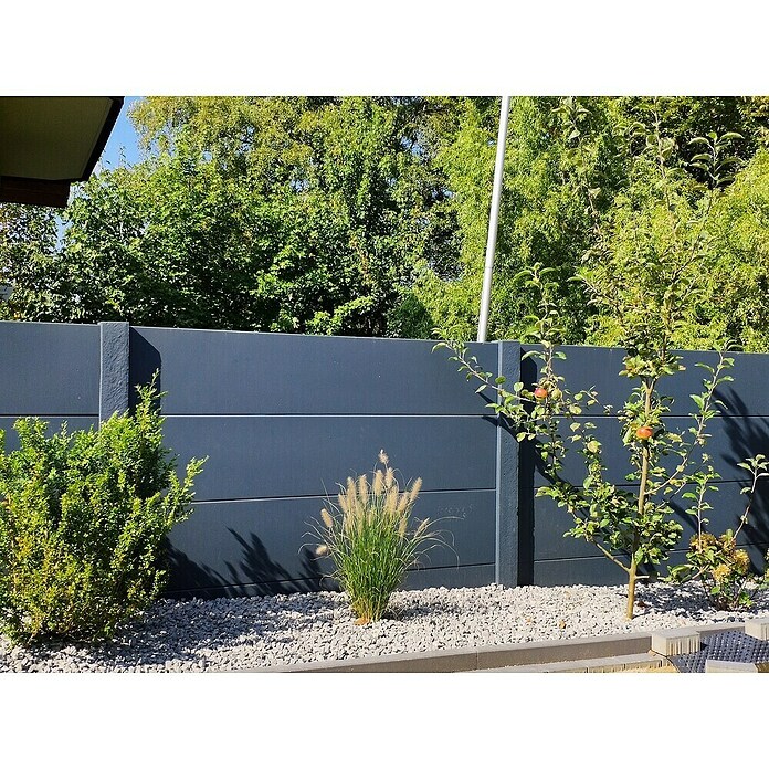 Beckers Betonzaun Zaunelement Standard glatte Platte (200 x 38,5 cm, Beton, Betongrau) | BAUHAUS