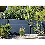 Beckers Betonzaun Zaunelement Standard glatte Platte (200 x 38,5 cm, Beton, Betongrau) | BAUHAUS