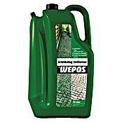 Wepos Algen- & Grünbelagsentferner (5 l, Flasche) | BAUHAUS