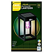 Calex Wandlantaarn voor buiten (l x b x h: 15 x 18 x 27 cm, IP54, 9 W) | BAUHAUS