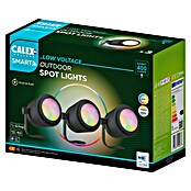 Calex Led-tuinspotset (Hoogte: 24 cm, IP44, 9 W) | BAUHAUS