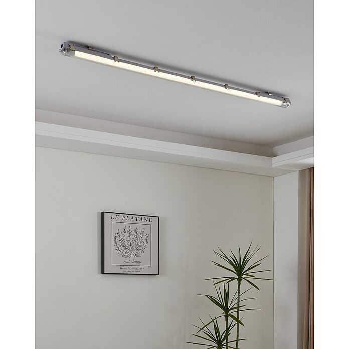 Eglo Tubo LED T8 (Largo: 59 cm, Blanco neutro, 10 W, 1.100 lm, G13) | BAUHAUS