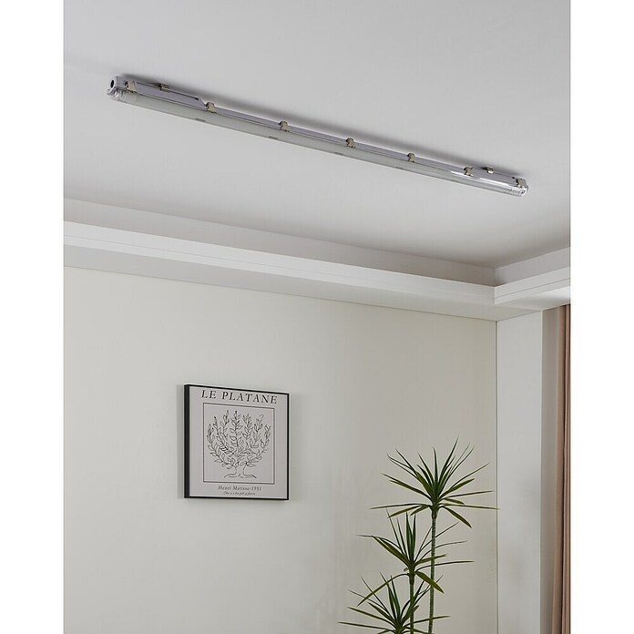 Eglo Tubo LED T8 (Largo: 59 cm, Blanco neutro, 10 W, 1.100 lm, G13) | BAUHAUS
