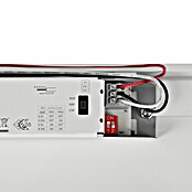 Eglo Wand- & Deckenleuchte Expert Ammoniak (24,5 W, L x B x H: 119 x 8,5 x 8 cm, Grau, Neutralweiß) | BAUHAUS