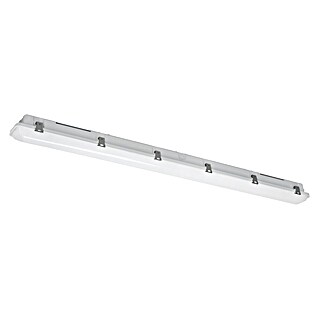 Eglo Wand- & Deckenleuchte Expert Ammoniak (24,5 W, L x B x H: 119 x 8,5 x 8 cm, Grau, Neutralweiß)