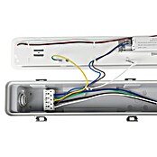 Eglo Wand- & Deckenleuchte Expert Ammoniak (24,5 W, L x B x H: 119 x 8,5 x 8 cm, Grau, Neutralweiß) | BAUHAUS