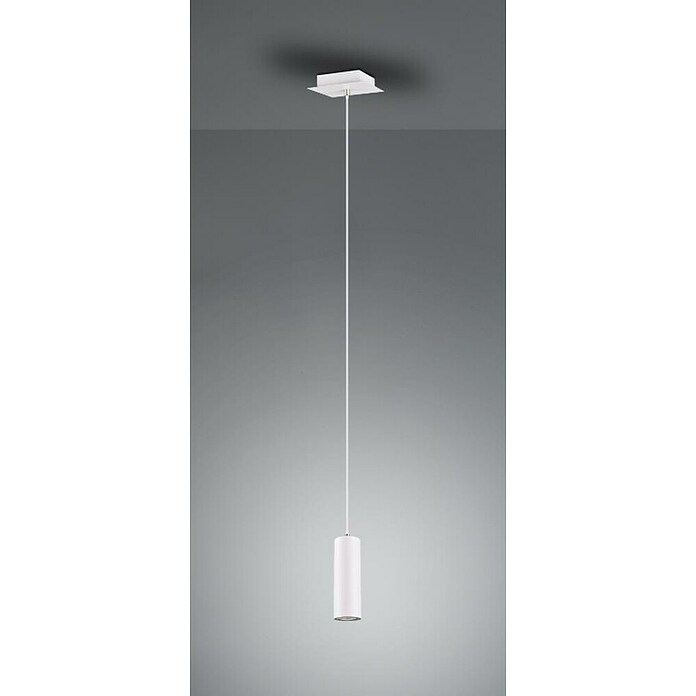 Trio Lighting Marley Lámpara colgante (35 W, L x An x Al: 12 x 12 x 150 cm, Blanco, GU10, 1 ud.) | BAUHAUS
