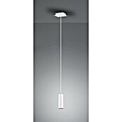 Trio Lighting Marley Lámpara colgante (35 W, L x An x Al: 12 x 12 x 150 cm, Blanco, GU10, 1 ud.) | BAUHAUS