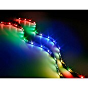 Trio Lighting Tira LED inteligente Screen (Largo: 120 cm, RGBW, 2,5 W) | BAUHAUS