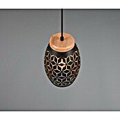 Reality Leuchten Bidar Lámpara colgante (28 W, L x An x Al: 15 x 15 x 150 cm, Negro, E27) | BAUHAUS