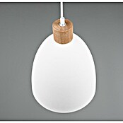 Reality Leuchten Lámpara colgante Jagger (40 W, Ø x Al: 25 x 150 cm, Blanco, E27) | BAUHAUS
