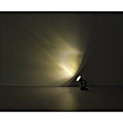 Globo Flexo con pinza de agarre Basic (40 W, Plateado, L x An x Al: 24 x 16 x 21 cm)