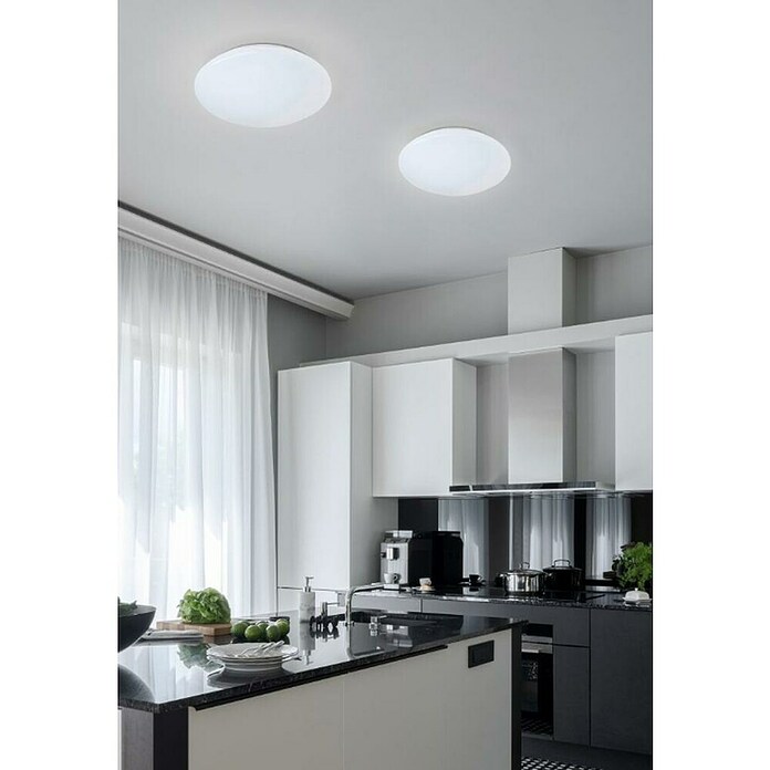 Trio Lighting Plafón LED redondo Putz (12 W, Ø x Al: 280 mm x 9 cm, Blanco, Blanco cálido) | BAUHAUS