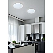 Trio Lighting Plafón LED redondo Putz (12 W, Ø x Al: 280 mm x 9 cm, Blanco, Blanco cálido) | BAUHAUS