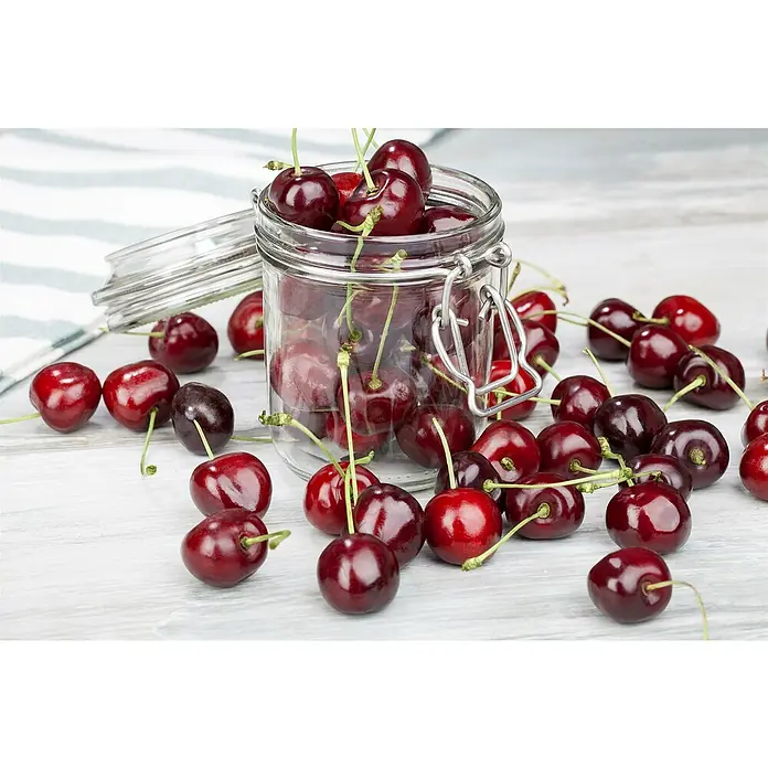 Piardino Bio Säulen-Süßkirschenbaum - Prunus avium 'Kordia'®, Erntezeit: Juli - Süße, reife Kirschen in einem Glas mit Bügelverschluss, einige liegen daneben auf einem hellen Holztisch.