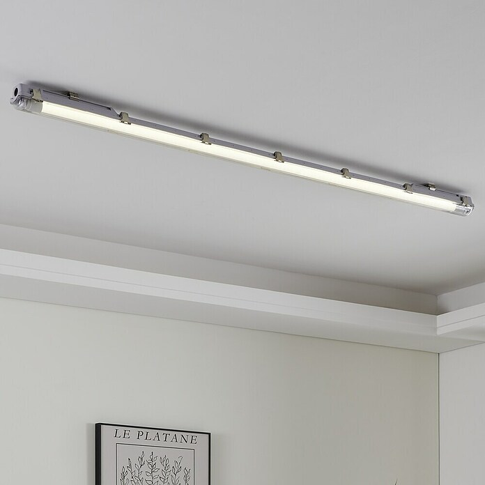 Eglo Tubo LED T8 (Largo: 59 cm, Blanco neutro, 10 W, 1.100 lm, G13) | BAUHAUS