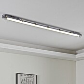 Eglo Tubo LED T8 (Largo: 59 cm, Blanco neutro, 10 W, 1.100 lm, G13) | BAUHAUS