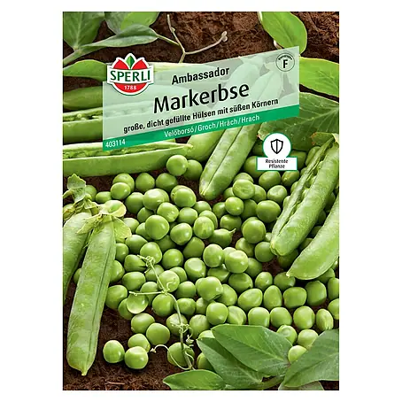Sperli  Gemüsesamen Markerbsen