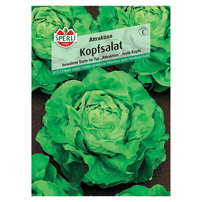 Sperli Salatsamen Kopfsalat - Lactuca sativa, Erntezeit: Juni, 0,5 g - Samenpackung Attraktion Kopfsalat von Sperli. Bewährte Sorte für feste Köpfe, ideal für den Anbau im eigenen Garten.