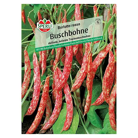 Sperli  Gemüsesamen Buschbohnen