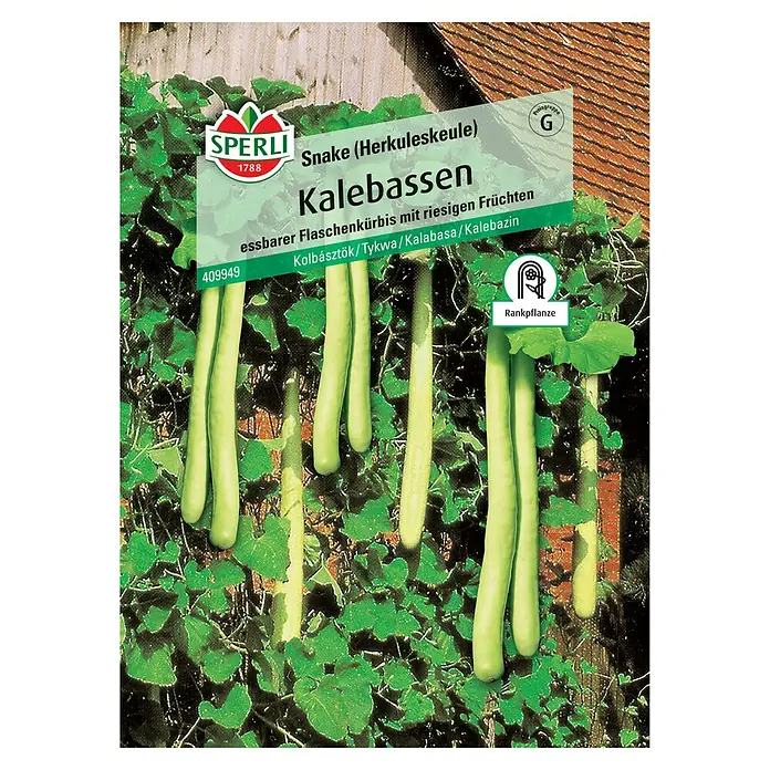 Sperli Gemüsesamen Kalebassen - Lagenaria siceraria, Saatzeit: März, Erntezeit: September - Eine Packung Saatgut für Schlangenkürbisse (Kalebassen) von Sperli, ideal für den Anbau von essbaren Flaschenkürbissen mit großen Früchten.