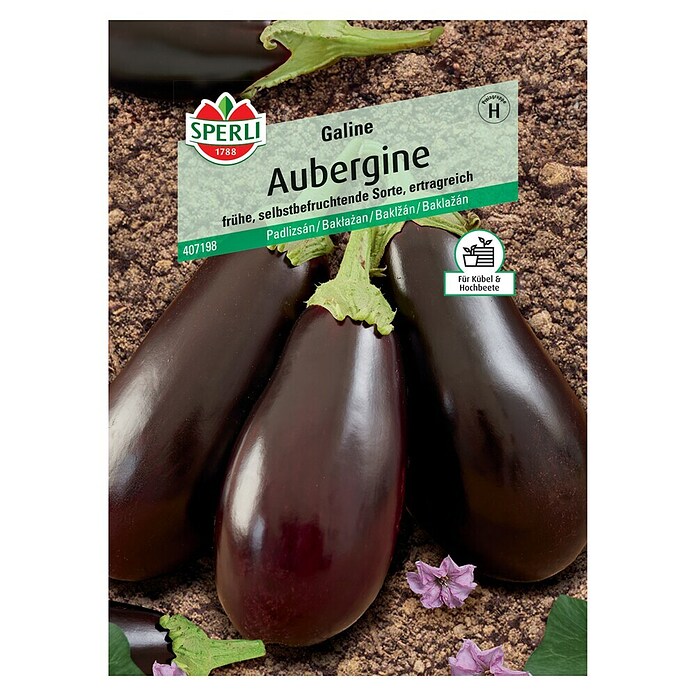 Sperli Gemüsesamen Auberginen (Solanum melongena, Saatzeit: Februar, Erntezeit: Juli) | BAUHAUS