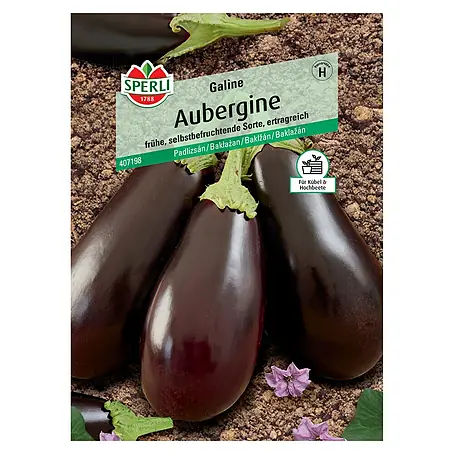 Sperli  Gemüsesamen Auberginen