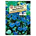 Sperli Blumensamen Büschelschön 