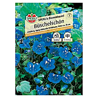 Sperli Blumensamen Büschelschön (Phacelia campanularia, Blau, Saatzeit: April, Blütezeit: Juni)