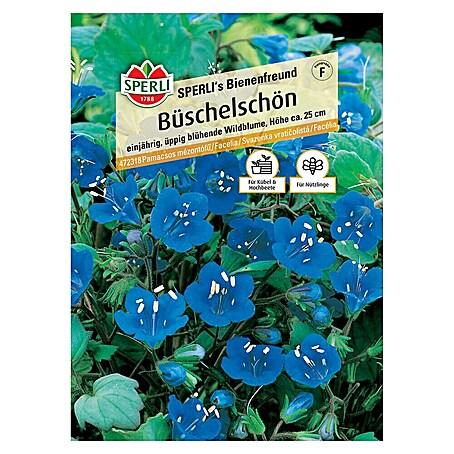 Sperli Blumensamen Büschelschön (Phacelia campanularia, Blau, Saatzeit: April, Blütezeit: Juni)
