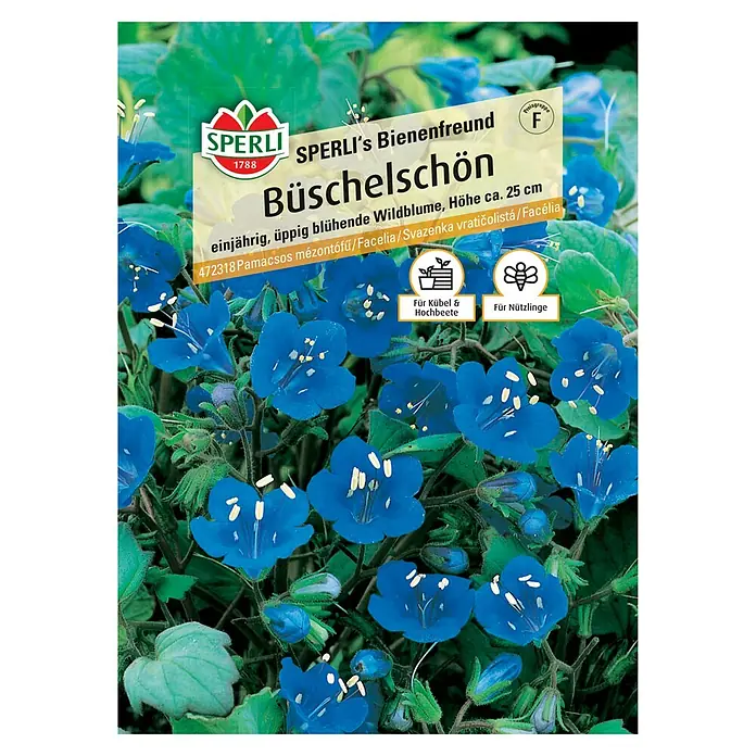 Sperli Blumensamen Büschelschön - Phacelia campanularia, Blau, Saatzeit: April, Blütezeit: Juni - SPERLI's Bienenfreund Büschelschön, einjährige, üppig blühende Wildblume für Kübel und Hochbeete. Ideal für Nützlinge und Bienen.