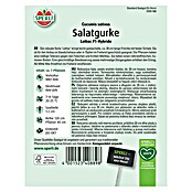 Sperli Gemüsesamen Salatgurken Lothar (Cucumis sativus, Saatzeit: März, Erntezeit: Juli) | BAUHAUS