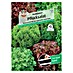 Sperli Salatsamen Pflücksalat 