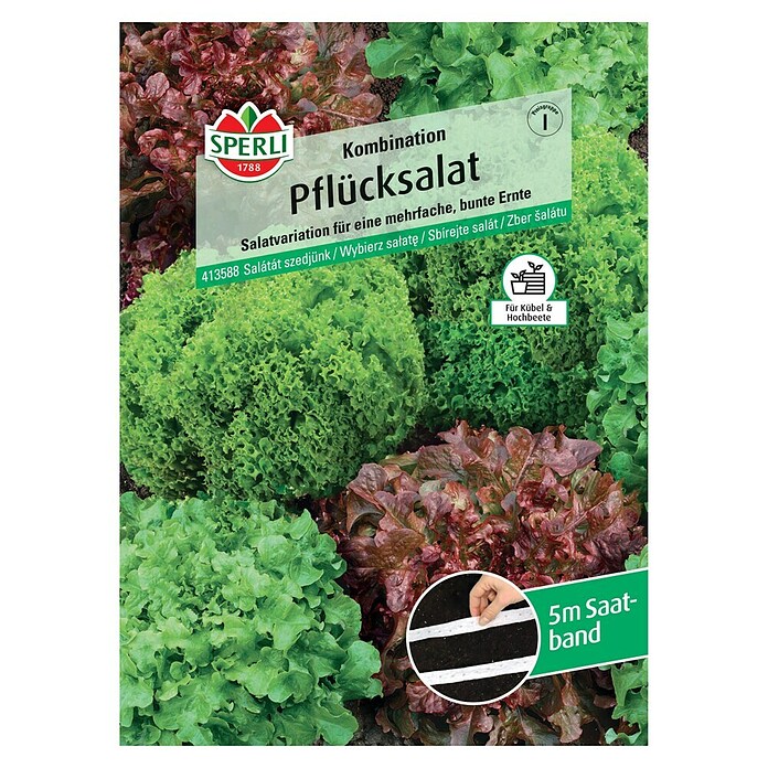 Sperli Salatsamen Pflücksalat (Lactuca sativa, Erntezeit: Mai) | BAUHAUS