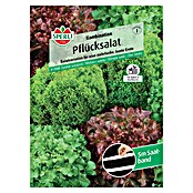 Sperli Salatsamen Pflücksalat (Lactuca sativa, Erntezeit: Mai) | BAUHAUS