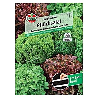 Sperli Salatsamen Pflücksalat (Lactuca sativa, Erntezeit: Mai)