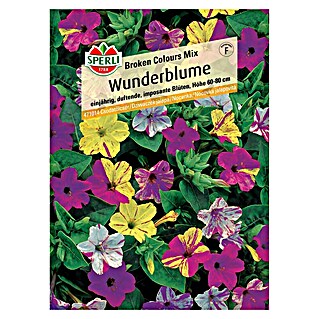 Sperli Blumensamen Wunderblumen (Mirabilis jalapa, Mehrfarbig, Saatzeit: März, Blütezeit: Juli)