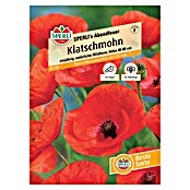 Sperli Blumensamen Klatschmohn (Papaver rhoeas, Rot, Saatzeit: April, Blütezeit: Juni) | BAUHAUS