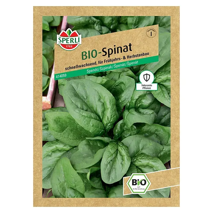 Sperli Gemüsesamen BIO Spinat - Spinacia oleracea, Saatzeit: März, Erntezeit: Mai - Samenpackung Bio-Spinat von Sperli, schnellwachsend für Frühjahrs- & Herbstanbau. Tolerante Pflanze, Öko-Verordnung, ideal für gesunde Ernährung.