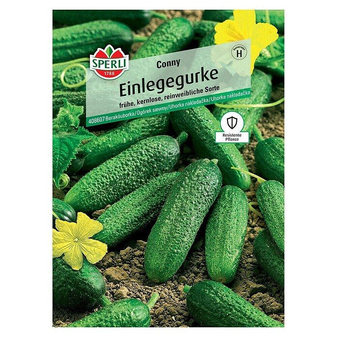 Sperli Gemüsesamen Einlegegurken Conny (Cucumis sativus, Saatzeit: April, Erntezeit: Juli) | BAUHAUS