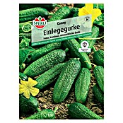 Sperli Gemüsesamen Einlegegurken Conny (Cucumis sativus, Saatzeit: April, Erntezeit: Juli) | BAUHAUS