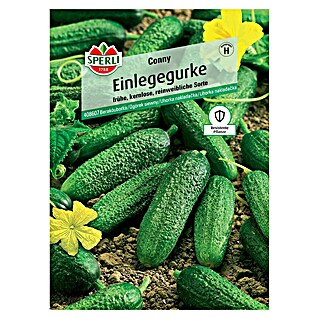 Sperli Gemüsesamen Einlegegurken Conny (Cucumis sativus, Saatzeit: April, Erntezeit: Juli)