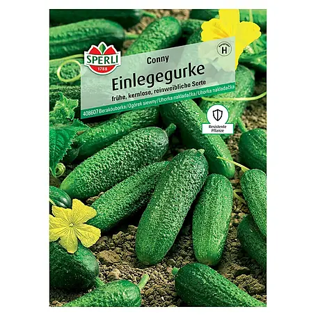 Sperli  Gemüsesamen Einlegegurken Conny
