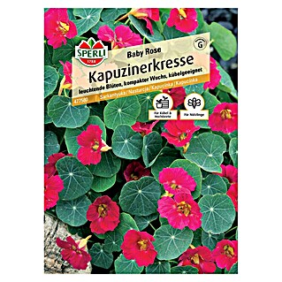 Sperli Kräutersamen Kapuzinerkresse (Tropaeolum minus, Saatzeit: März, Blütezeit: Juli)