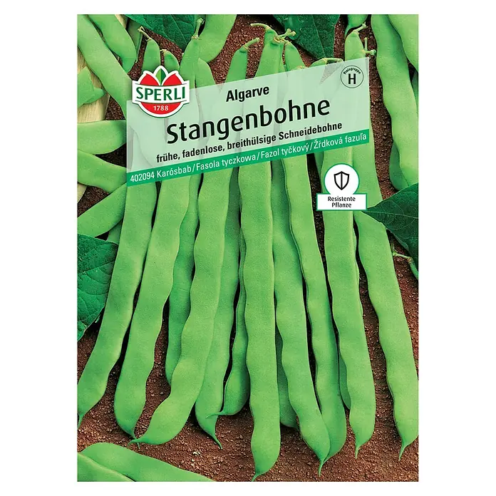 Sperli Gemüsesamen Stangenbohnen Algarve - Phaseolus vulgaris, Saatzeit: Mai, Erntezeit: Juli - Das Bild zeigt eine Packung „Algarve Stangenbohne“ Samen der Marke Sperli. Die Bohnen sind hellgrün und lang.