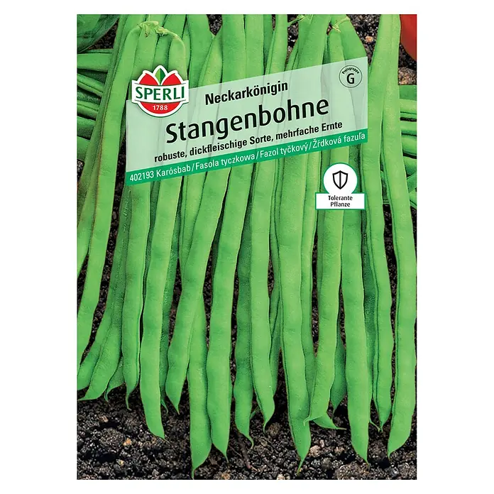 Sperli Gemüsesamen Stangenbohnen - Phaseolus vulgaris, Saatzeit: Mai, Erntezeit: Juli - Samenpackung für Neckarkönigin Stangenbohnen, robuste und dickfleischige Sorte für mehrfache Ernten.