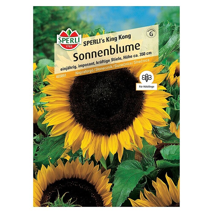 Sperli Blumensamen Sonnenblumen King Kong (Helianthus annuus, Gelb, Saatzeit: März, Blütezeit: August) | BAUHAUS